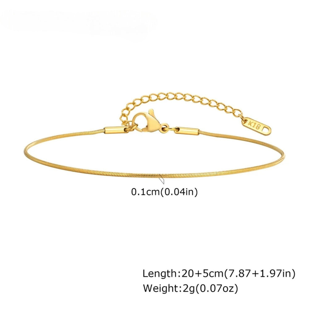 Gold Snake Chain Anklet