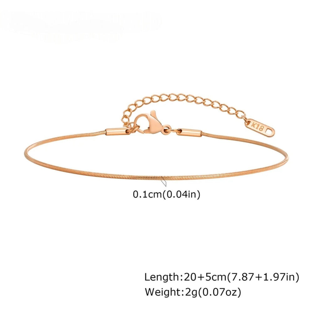 Rose Gold Snake Chain Anklet