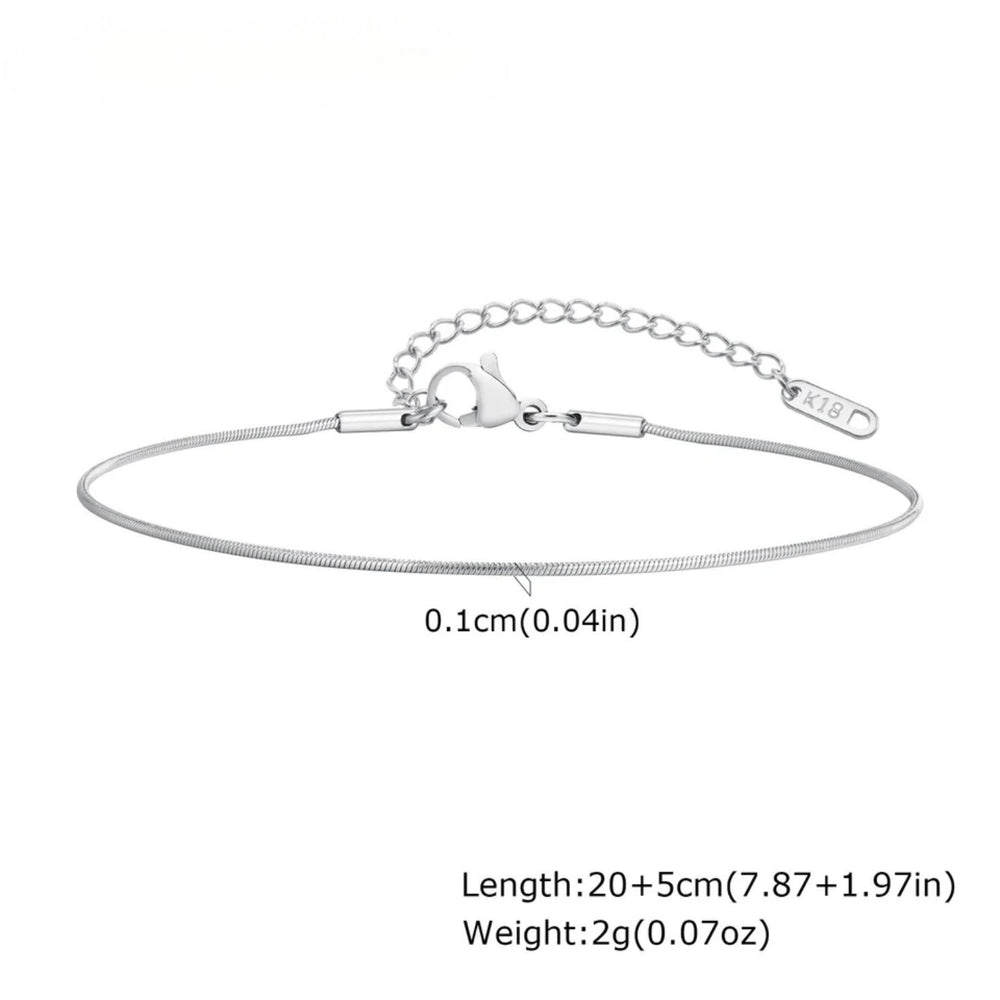 Silver Snake Chain Anklet
